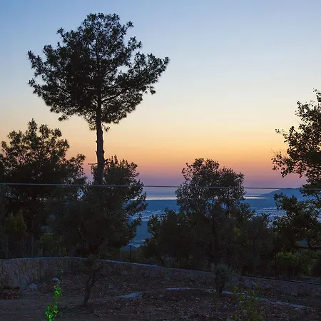 Villa Gunbatimi Uzumlu (Mediterranean)